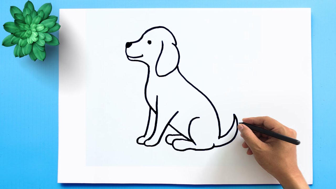 Beginner Guide to Creating Short TikTok Sketches (4)